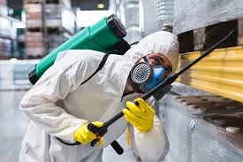 Best Fumigation Services  in Wapakoneta, OH